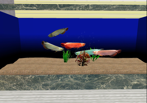 Arowana   "Mermish Bella" Main shop