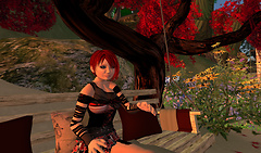Snapshot_002