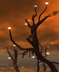 Glitterati photo contest 1