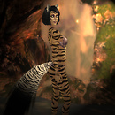 Tiger Eliss