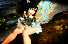 Punk Fairy