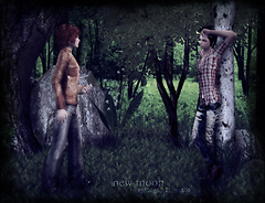 Twilight, Round 2