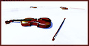 violins on white