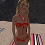 Every Day is a Perfect Day in SL