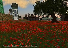 Fashion Expo - June 2009 -Poppies will make them sleep