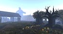 The entrance of the forest