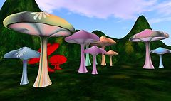 Mushrooms (2)