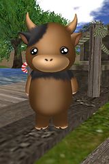 My best friend Kyu