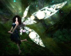 Wings
