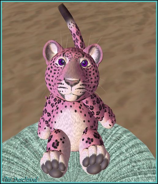 Tiny Tiger
