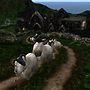 Second Life as seen by some rams - Koinup Burt
