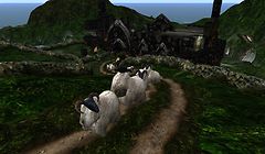 Second Life as seen by some rams - Koinup Burt
