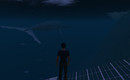 whale_008