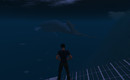 whale_006
