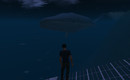 whale_003
