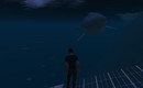 whale_002