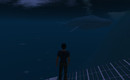 whale_001