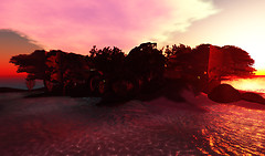 Snapshot_011