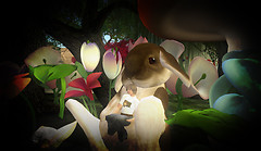 Hampus and a bunny