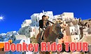 Donkey ride tour