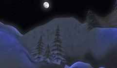 Wintery Moon