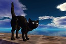 oh meowwwwwwwwwwwwwwwwwwwwwwwwwww - Ravenelle Zugzwang