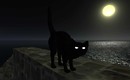 black cat with yellow moon - Torley Olmstead