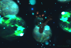 World Fall
