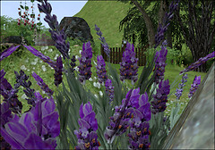 Sideshow Camp Landscaping VIII