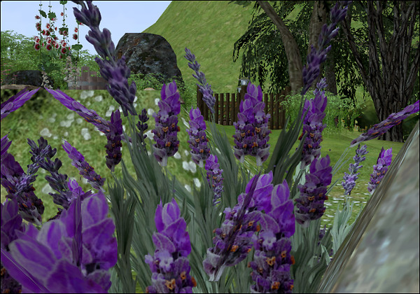 Sideshow Camp Landscaping VIII