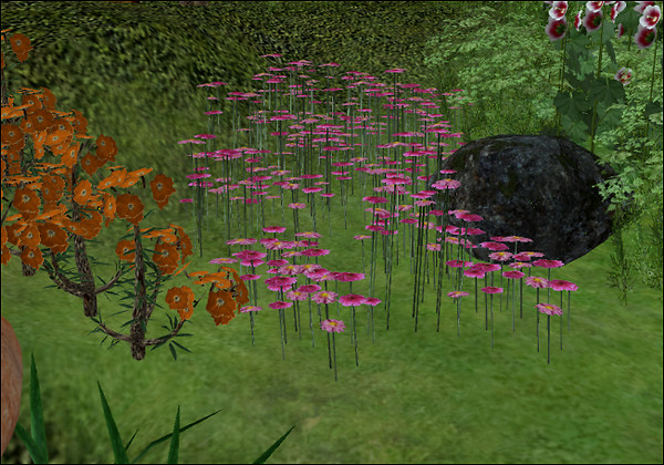 Sideshow Camp Landscaping III