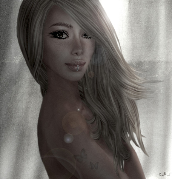 Butterfly