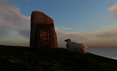 Face to Door