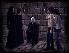 The Volturi