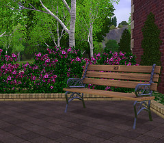 TS3_007