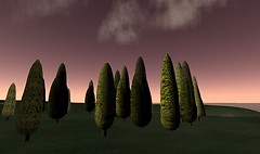 Trees - Lorimae Undercroft