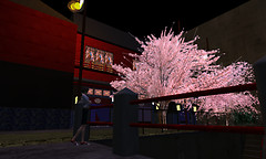 akasen_0031