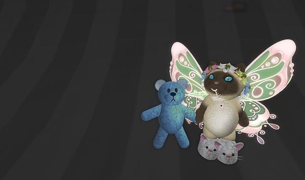 Teddy is getting bored - Lorimae Undercroft