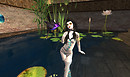 Waterlillies