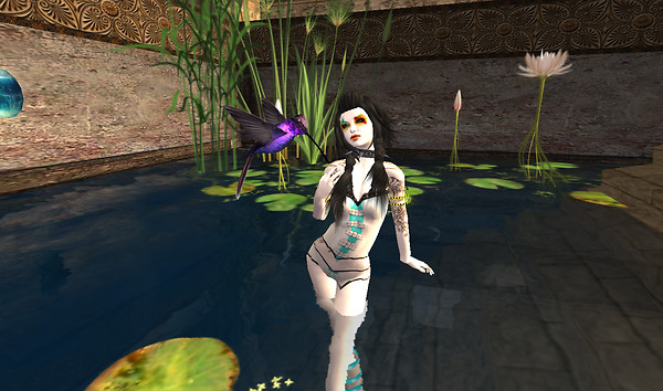 Waterlillies