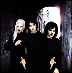 The Volturi