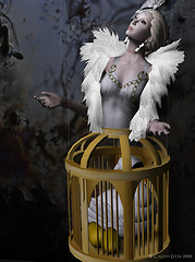 The Language of Dolls - The Caged Swan
