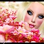 Flores rosas