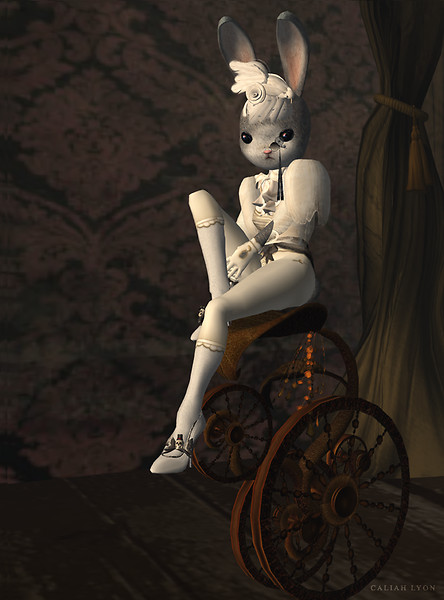 Lapin 1
