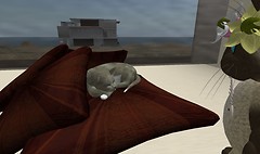 Napping - Lorimae Undercroft