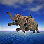 Vooner-san's Elephant!!