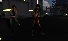 Snapshot_015