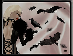 crows nk