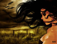 windlady nk