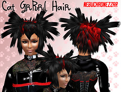 NDN - CATGRRRL Hair : Hair Fair 2009 Auction Hair Prize